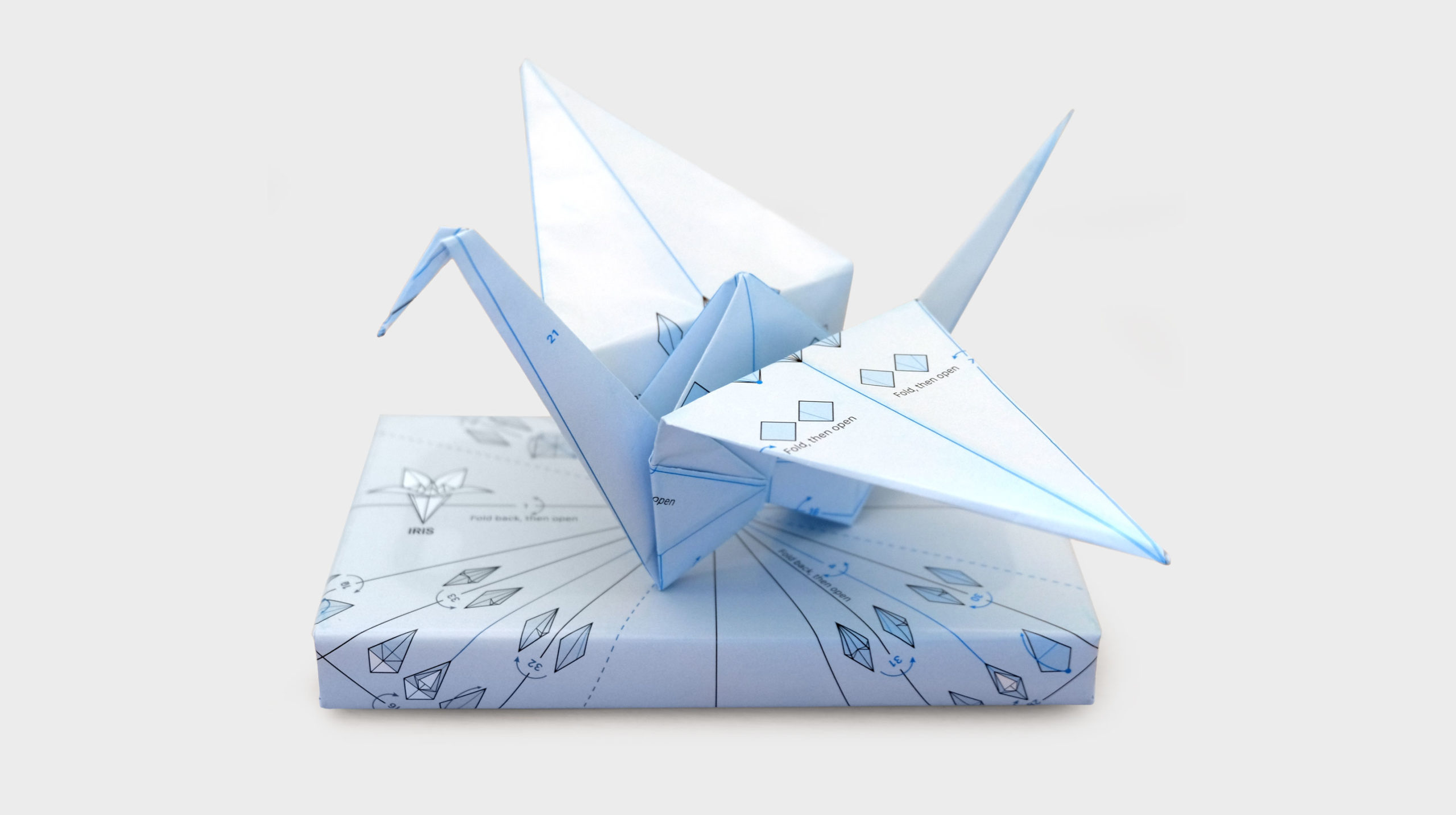 ORIGAMI WRAP